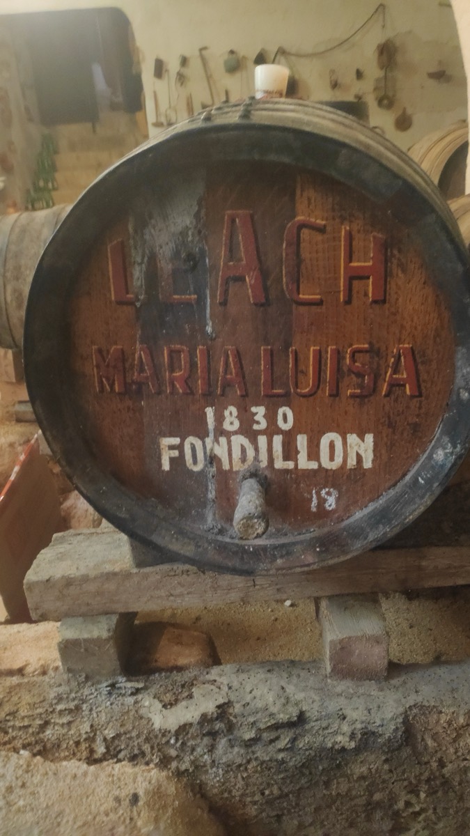 Tonel 18 en la bodega de la Finca Cassou